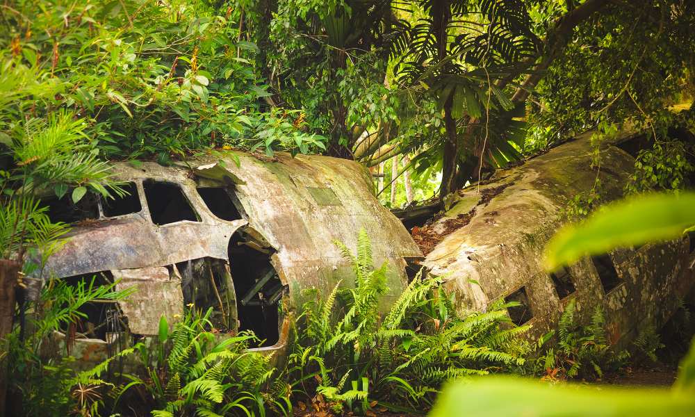 The dangers of flying in the Amazon rainforest - Dailyfinancies